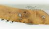 Trappeur Grand Cru Juniper Wood 4